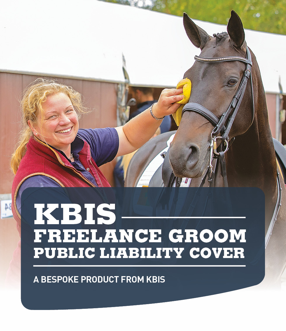 Freelance Groom Liability Insurance the choice of professional grooms